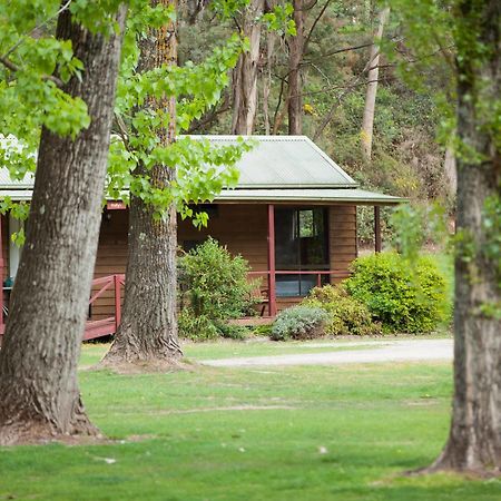 Beechworth Holiday Park Екстериор снимка