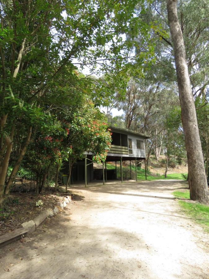 Beechworth Holiday Park Екстериор снимка
