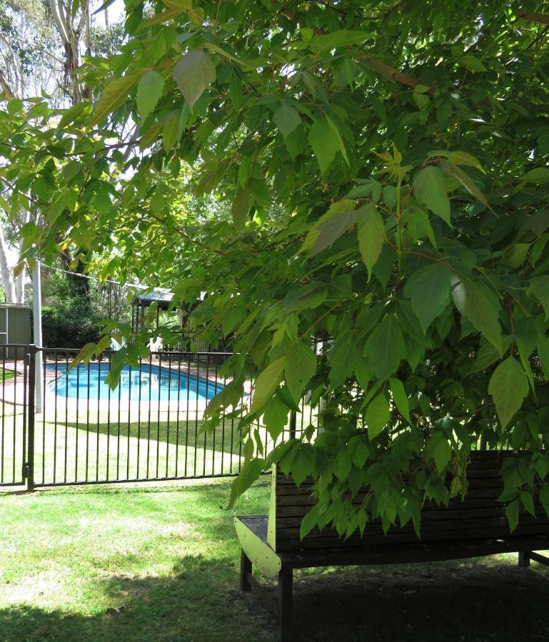 Beechworth Holiday Park Екстериор снимка