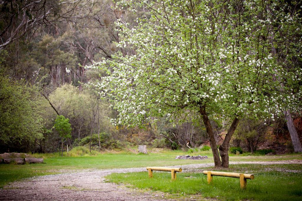 Beechworth Holiday Park Екстериор снимка